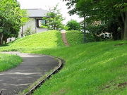 ポコさんの永田公園の投稿写真2