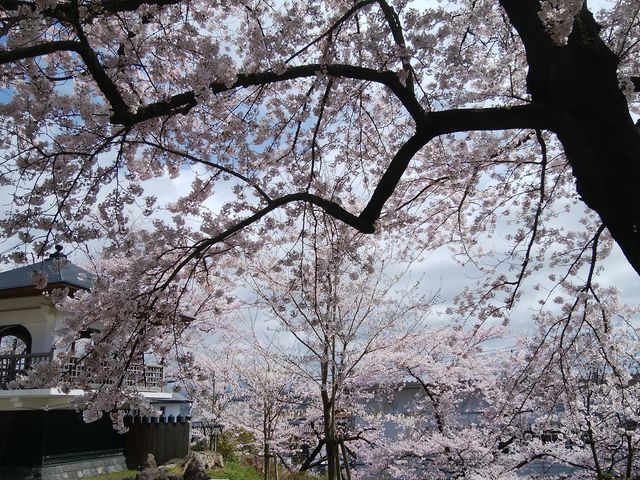 わなかたさんの本荘城跡の投稿写真1