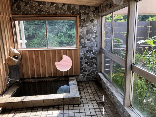 陰の湯_百年ゆ宿旅館大沼