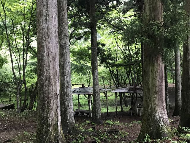 キャンプの森_城峯山キャンプ場
