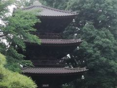 椿山荘 庭園の写真1