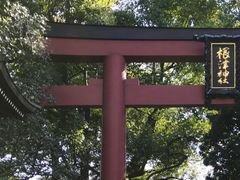 根津神社の写真1