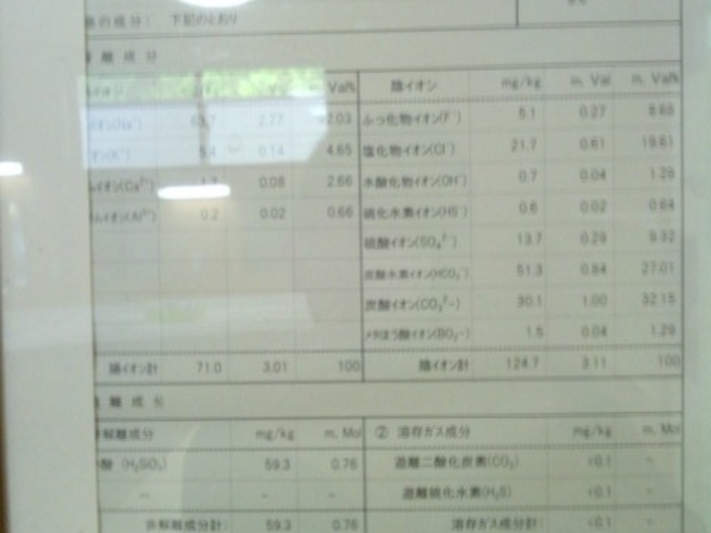 分析表_平山温泉 元湯