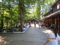 ニイチャンさんの軽井沢星野エリア ハルニレテラスへの投稿写真1