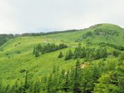 雷ちゃんさんの美ヶ原高原の投稿写真11