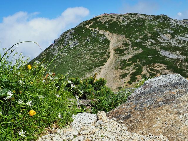 中岳からの木曽駒ヶ岳_駒ヶ岳(木曽駒ケ岳)