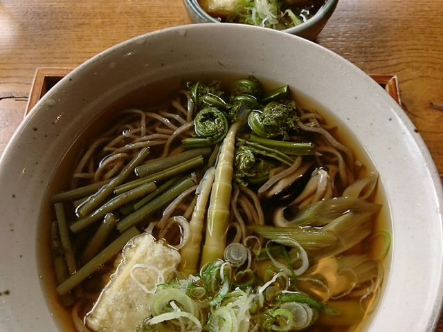 山菜そばはたっぷり地元の山菜や、お豆腐も入ってて良かったです。_拾遍舎