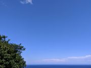 ももこさんのパラダイス・カフェ サドルバックの投稿写真1