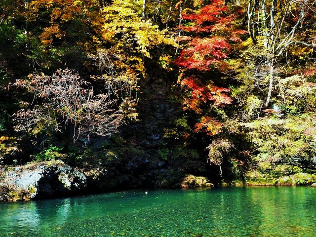 雷ちゃんさんの巴淵(巴ヶ淵)の投稿写真3