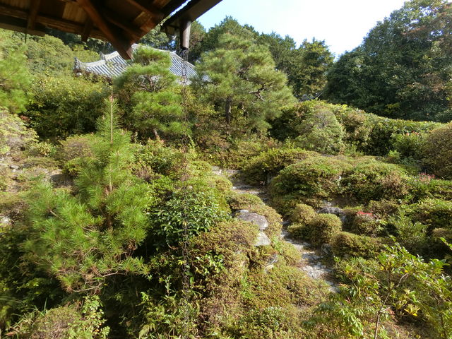 やんまあさんの興福院庭園の投稿写真1