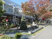 鶴亀松竹梅扇さんの星が丘テラスの投稿写真1