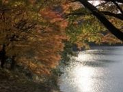 PHXさんの銀山湖(生野ダム)の投稿写真1