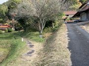 スターさんの清水井の投稿写真1