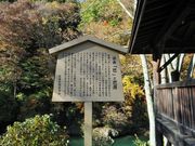 雷ちゃんさんの巴淵(巴ヶ淵)の投稿写真1