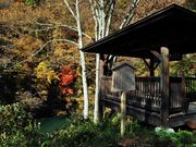 雷ちゃんさんの巴淵(巴ヶ淵)の投稿写真2