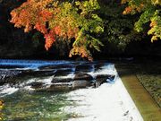 雷ちゃんさんの巴淵(巴ヶ淵)の投稿写真4