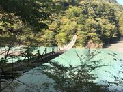 シトラさんの川根本町の紅葉(静岡県)の投稿写真1