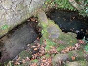 スターさんの清水井の投稿写真1