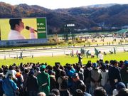 きいまんさんの福島競馬場の投稿写真1