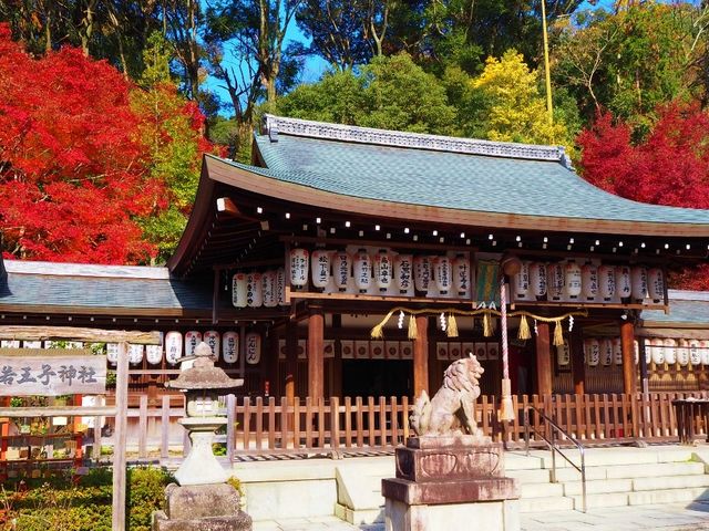 紅葉がきれいでした_熊野若王子神社