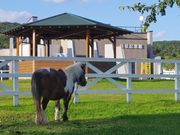 まりもさんの優駿記念館の投稿写真1