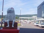 まりもさんの新函館北斗駅前ビルの投稿写真1