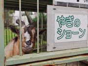 まりもさんのふれあい動物園(帯広競馬場内)の投稿写真1