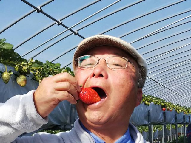 大きいイチゴを口いっぱいに_ジュリカファーム淡河農園