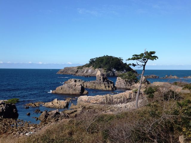 こぼらさんの亀島園地の投稿写真1