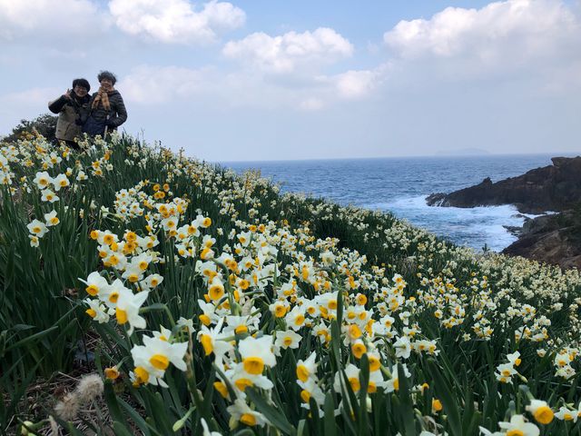 辺り一面春の匂いに包まれています。_唐音水仙公園