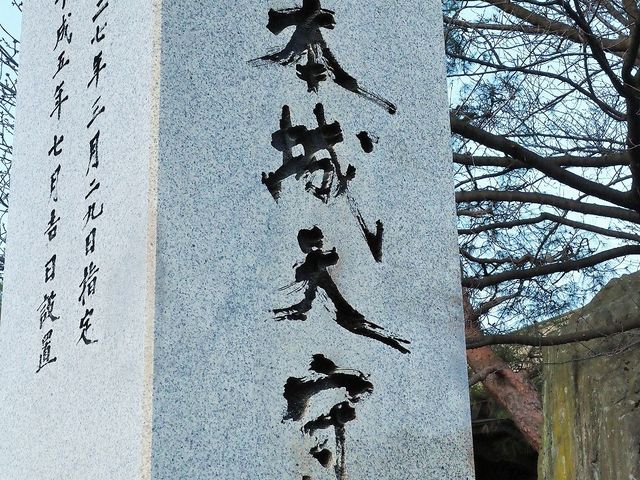 夕日が落ちて松本城天守の石碑に猫が
_松本城公園