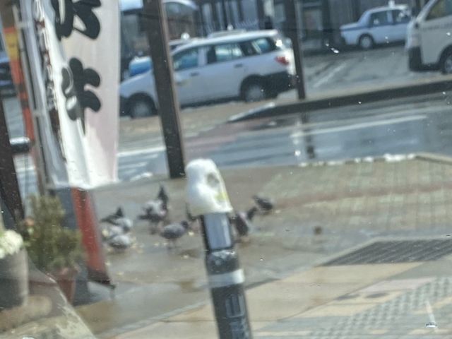 ご参考にどうぞ。_ステーキ 東洋館