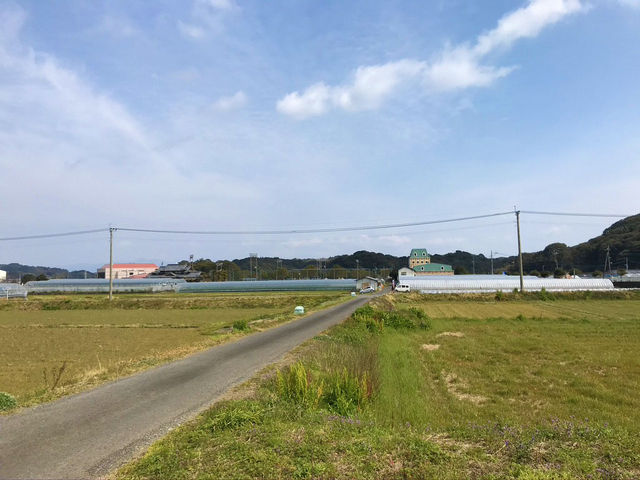 のどかな場所_堤農園