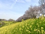 magicoさんの運河水辺公園の投稿写真2