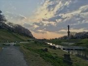 magicoさんの運河水辺公園の投稿写真4