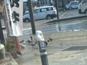 OSさんのステーキ 東洋館の投稿写真1