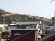 sango8さんの三郷八幡神社の投稿写真1