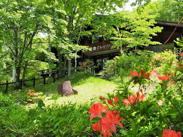 戸隠はレンゲツツジが咲き始め高台に鏡池どんぐりハウス_鏡池