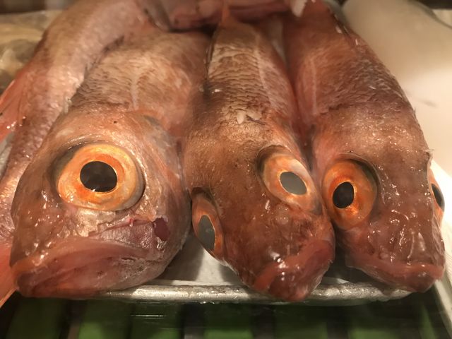 対馬産アカムツ(のどぐろ)
脂がのっていてとろける感じ_みなと寿司