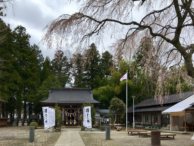 散りかけの桜と拝殿_秋保神社