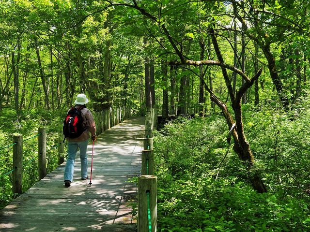 木道を通ってみどりが池_戸隠高原