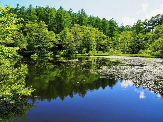 みどりが池_戸隠高原