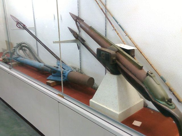展示物_雲見くじら館