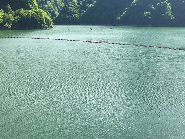 新緑の水面に網場(あば)が良いアクセント_二瀬ダム