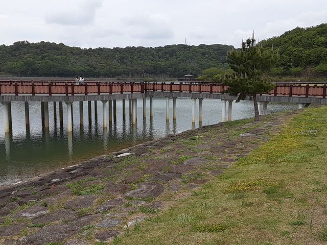 観水デッキ_初立池公園