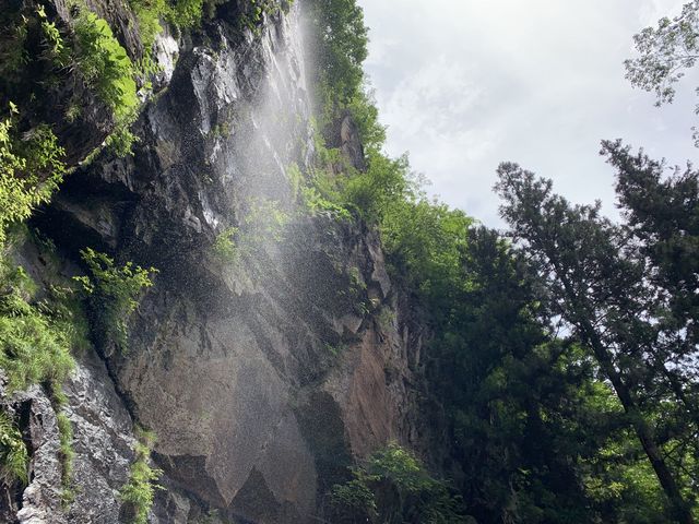 hijikigokeさんの大岩の三又杉の投稿写真2