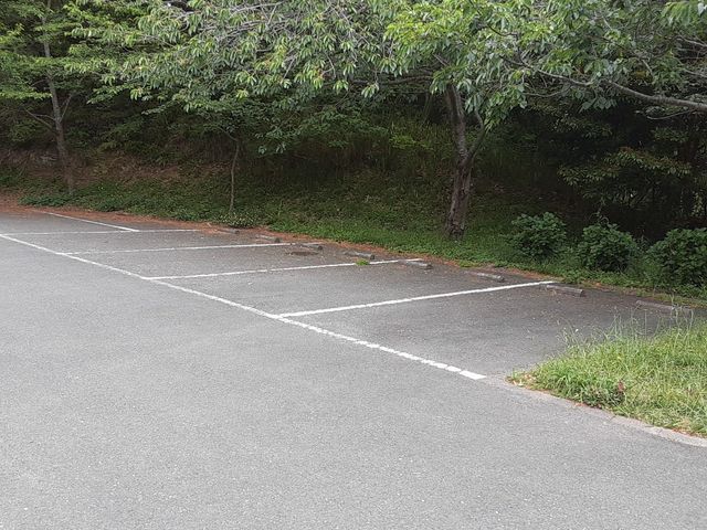 駐車場_初立池公園
