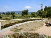 やんまあさんの安曇野ちひろ公園 大花壇の投稿写真1