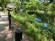 やんまあさんの蓼川の投稿写真1