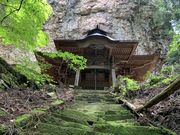 hijikigokeさんの大岩の三又杉の投稿写真1